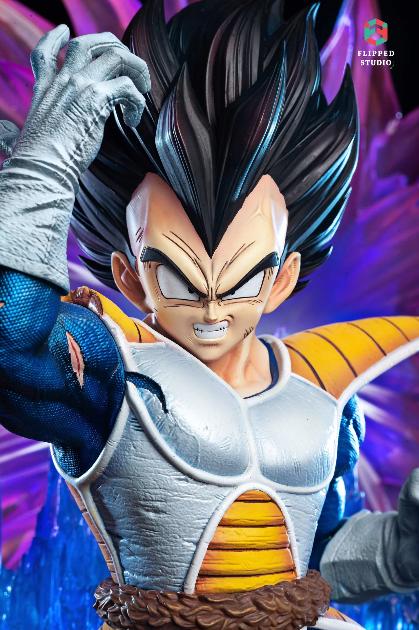 Flipped - Vegeta