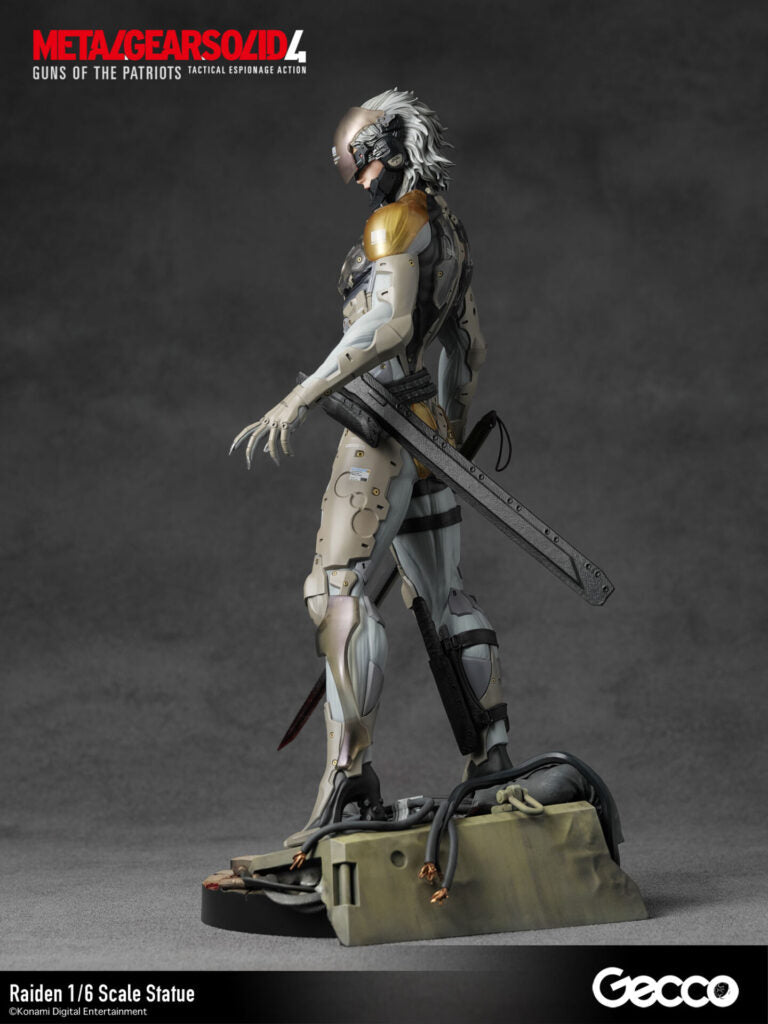 Gecco - Raiden