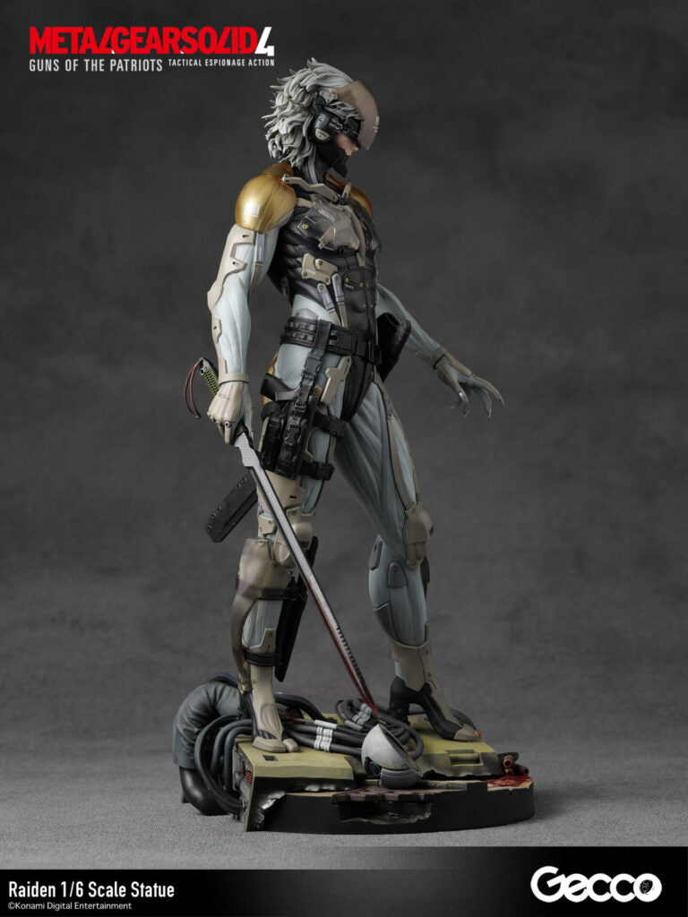 Gecco - Raiden