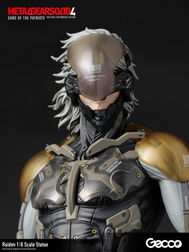 Gecco - Raiden