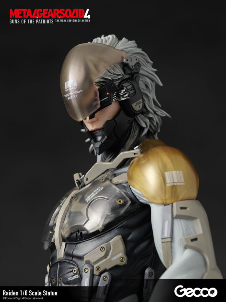 Gecco - Raiden