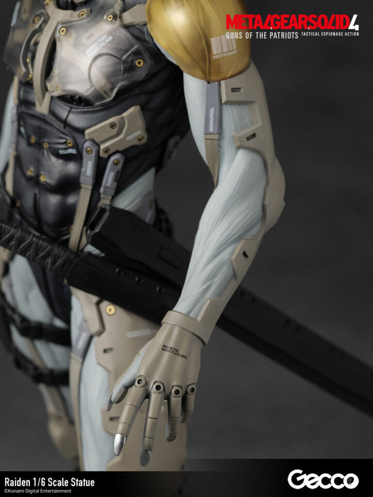Gecco - Raiden