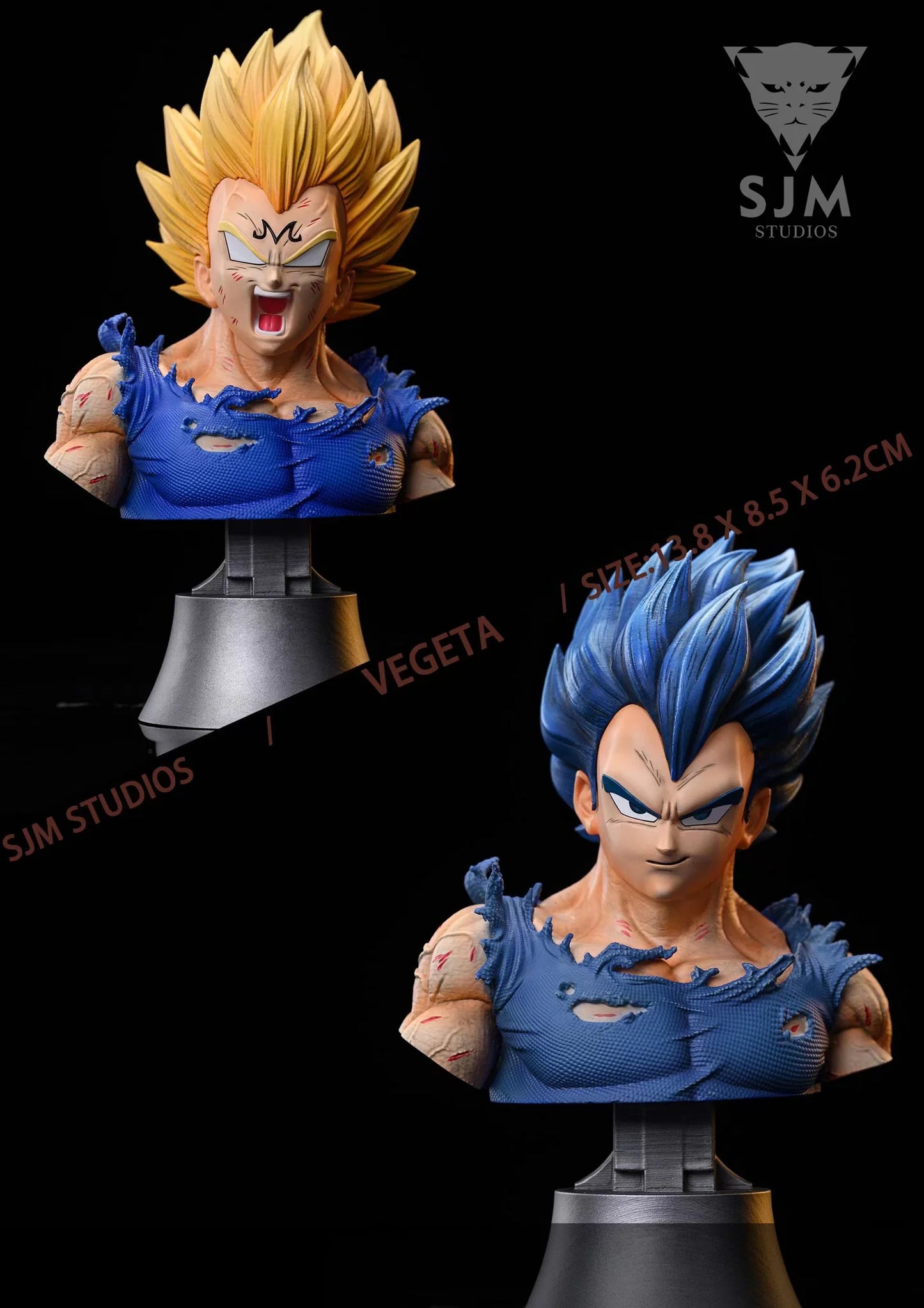 SJM-Vegeta