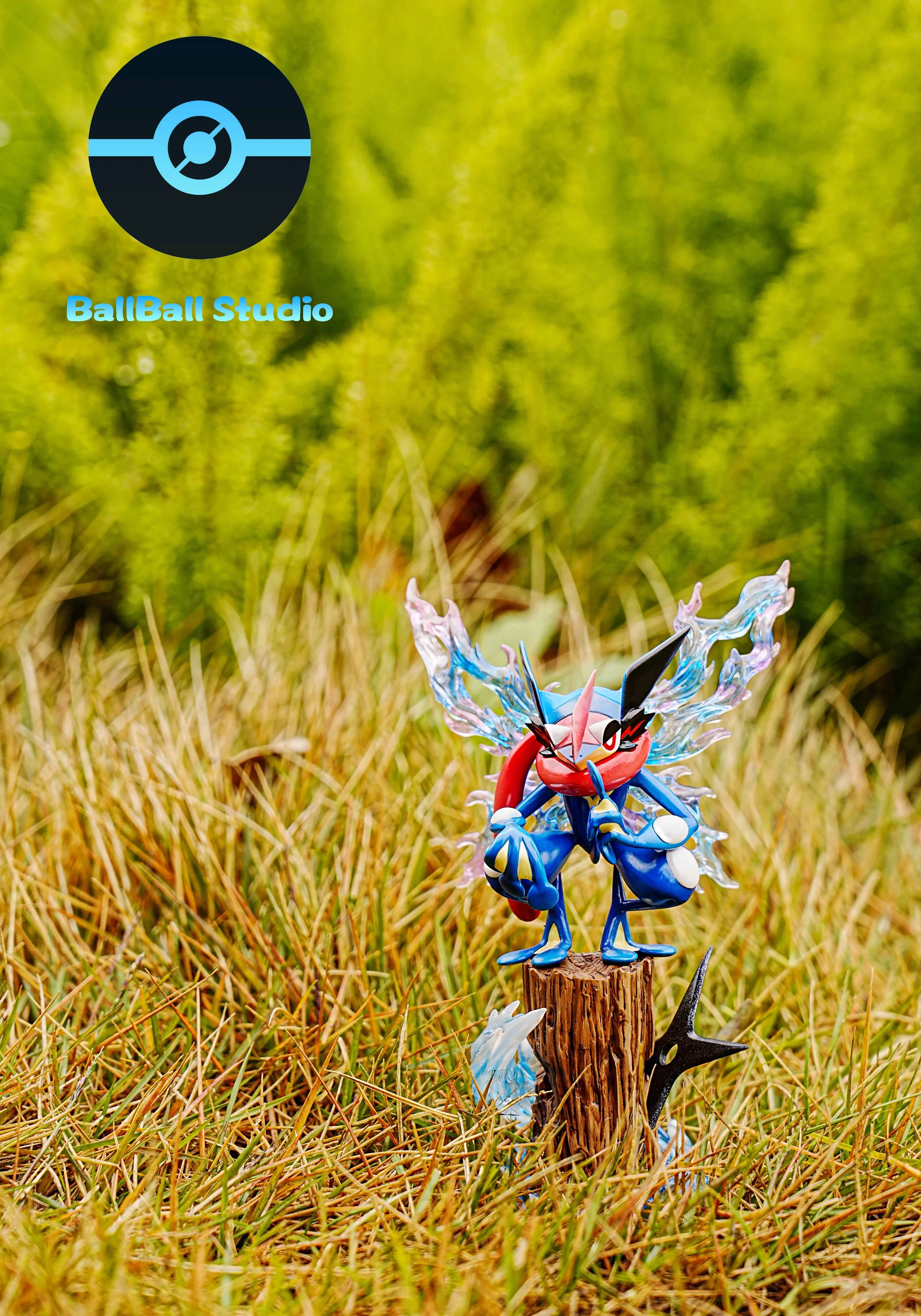 Ball Ball - Greninja - Pokémon
