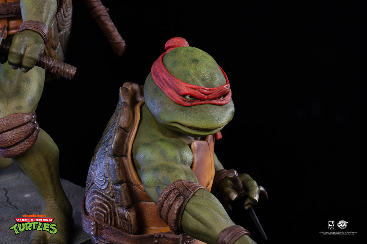 Pure Arts - Teenage Mutant Ninja Turtles