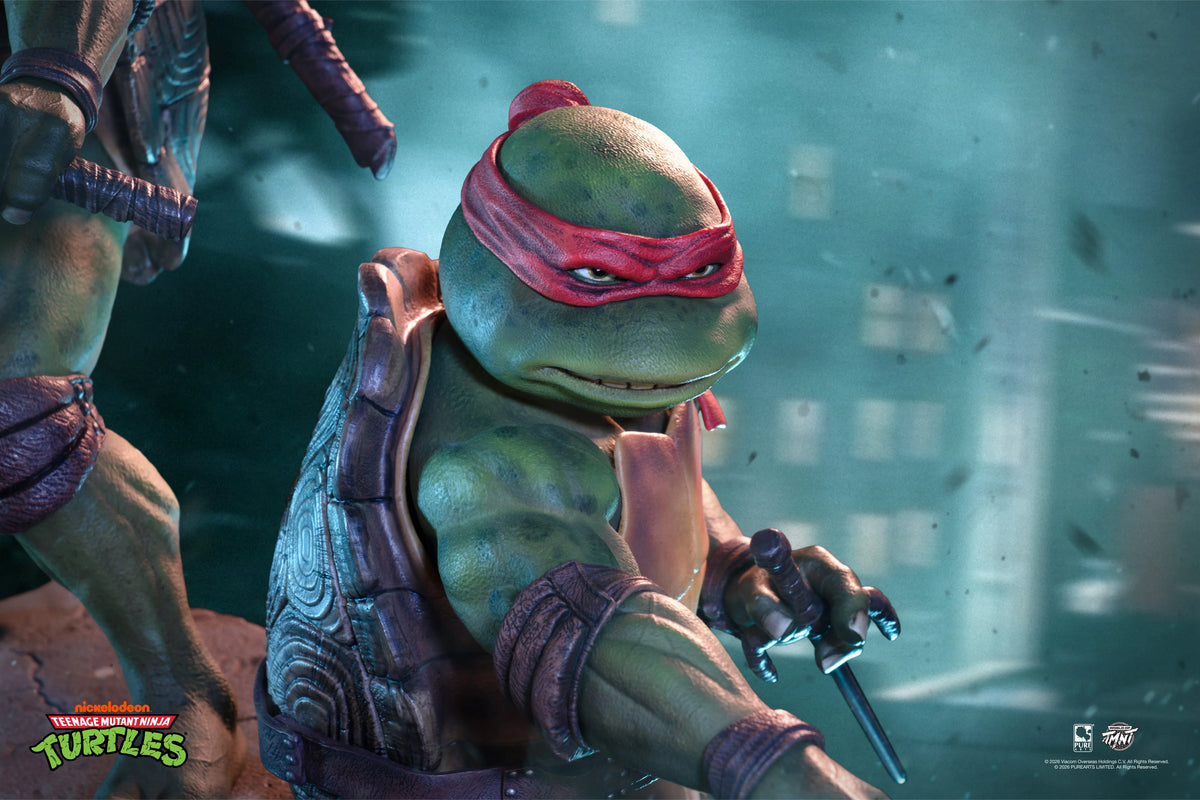 Pure Arts - Teenage Mutant Ninja Turtles
