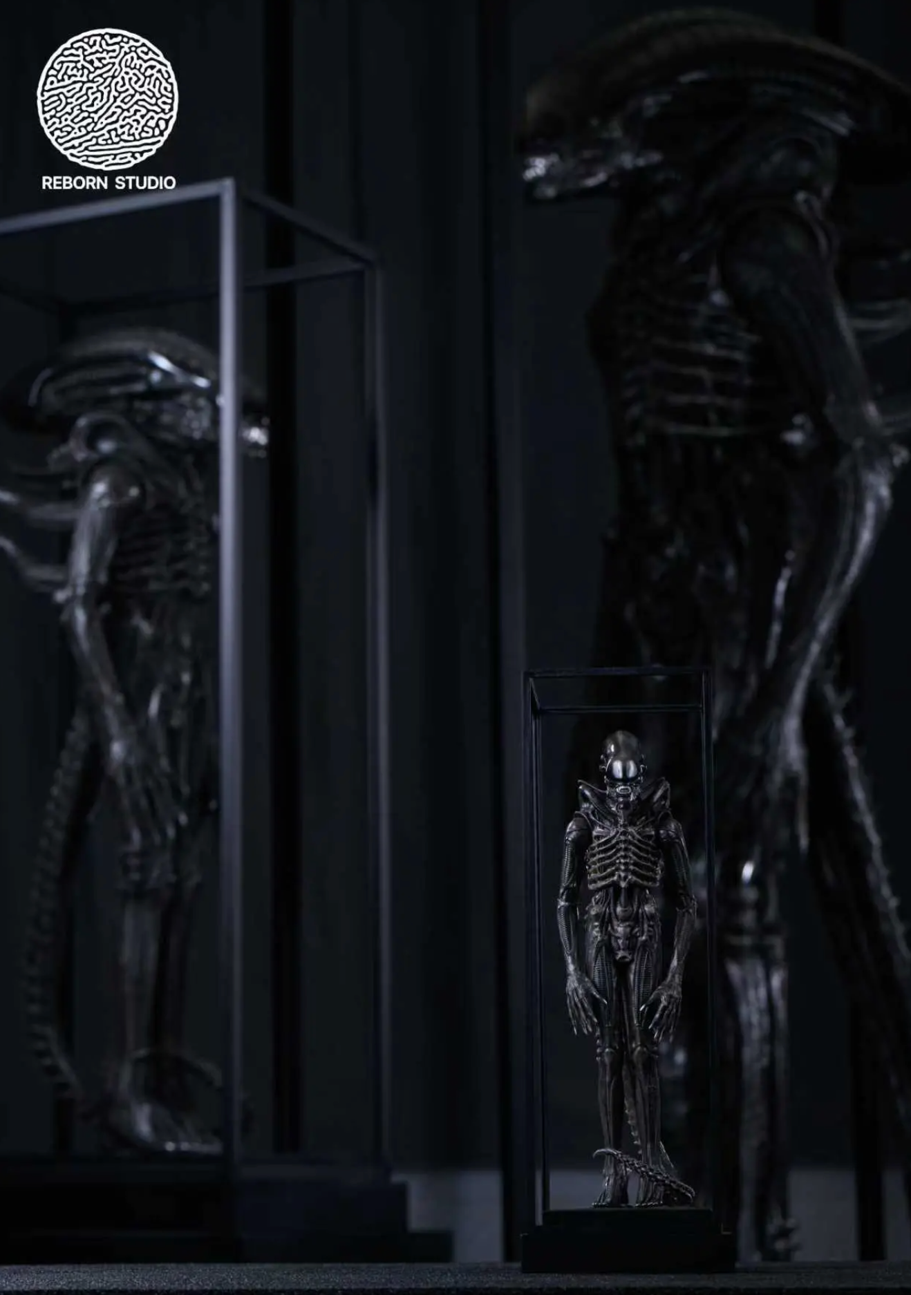 Reborn - Big Chap Alien