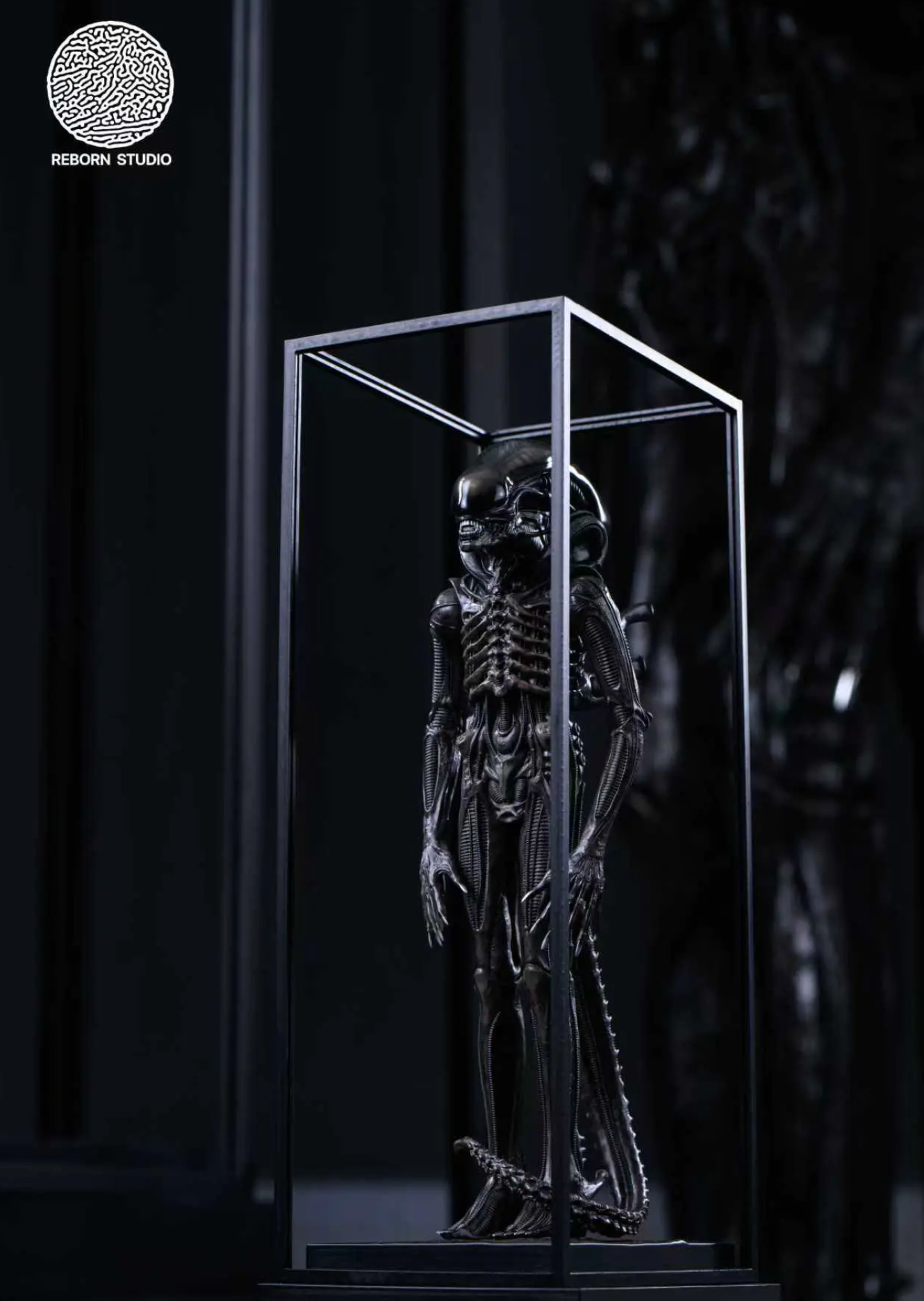 Reborn - Big Chap Alien