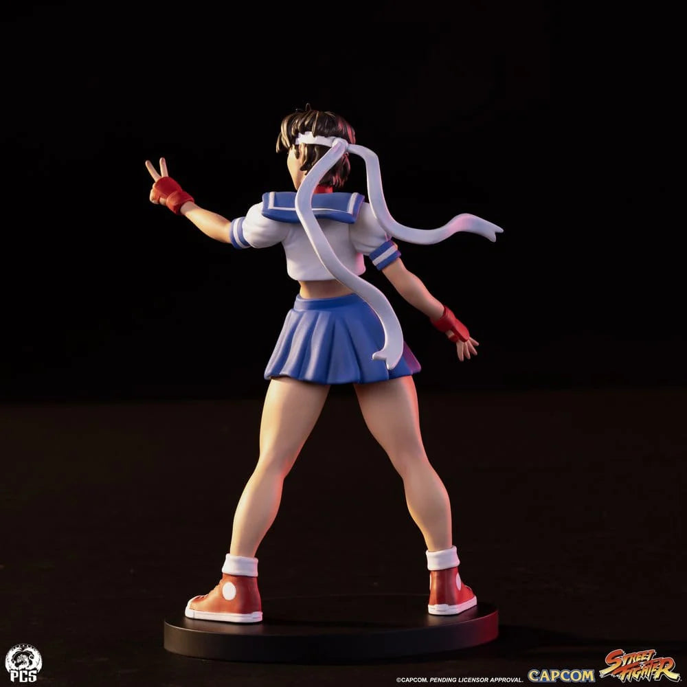 Premium Collectibles - Sakura Kasugano and Sodom