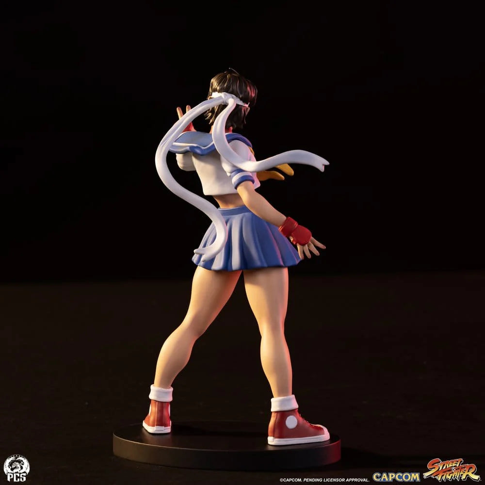 Premium Collectibles - Sakura Kasugano and Sodom