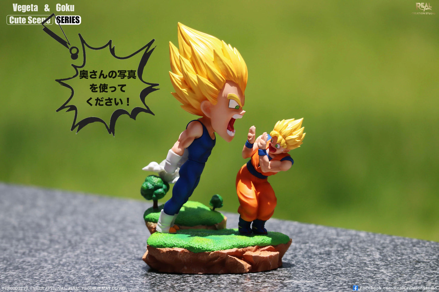 Real Creation - Goku and Vegeta