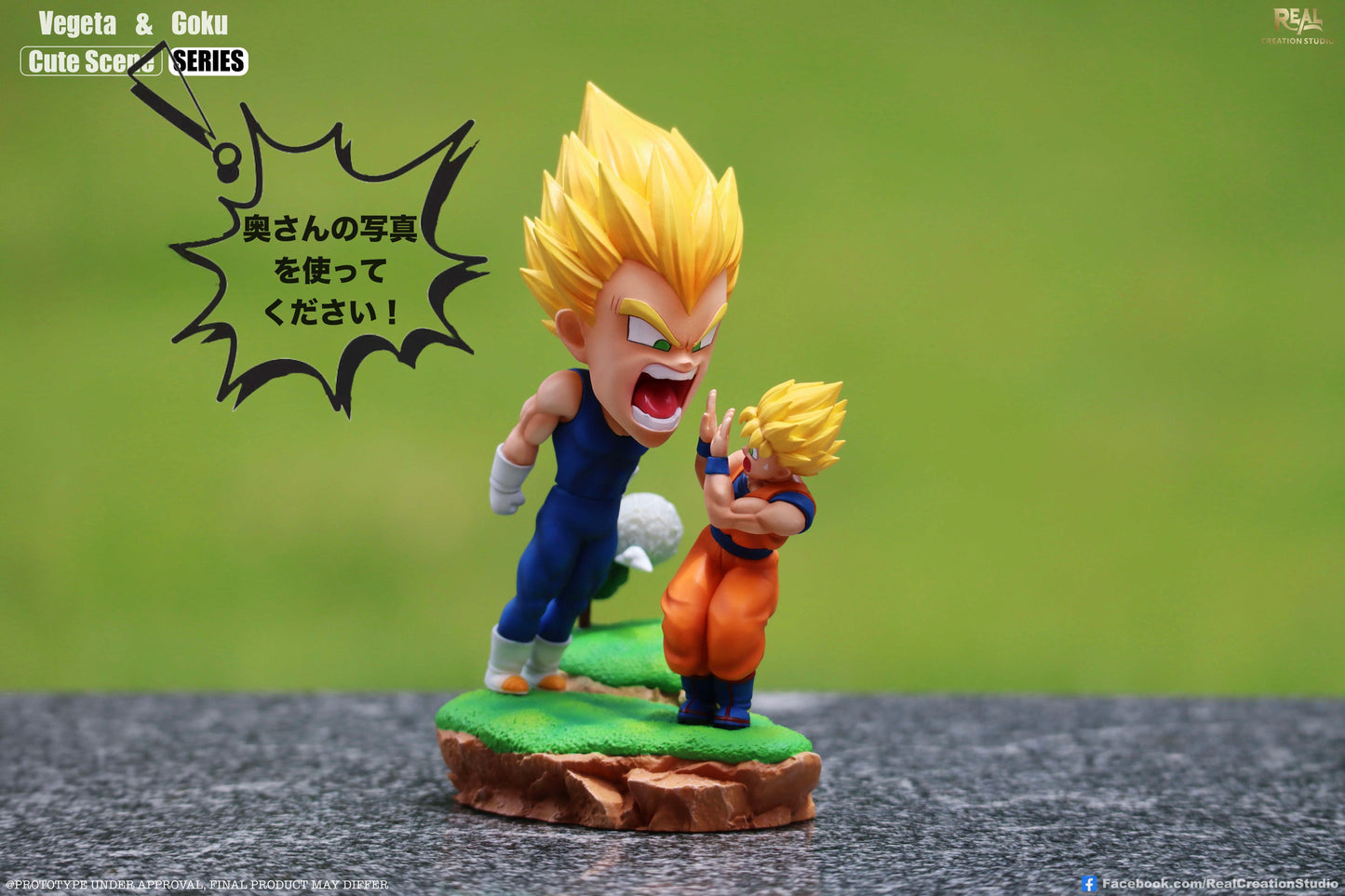 Real Creation - Goku and Vegeta