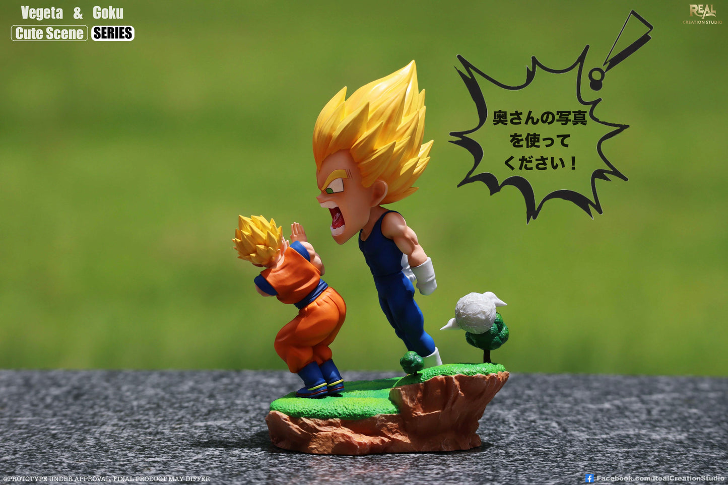 Real Creation - Goku and Vegeta