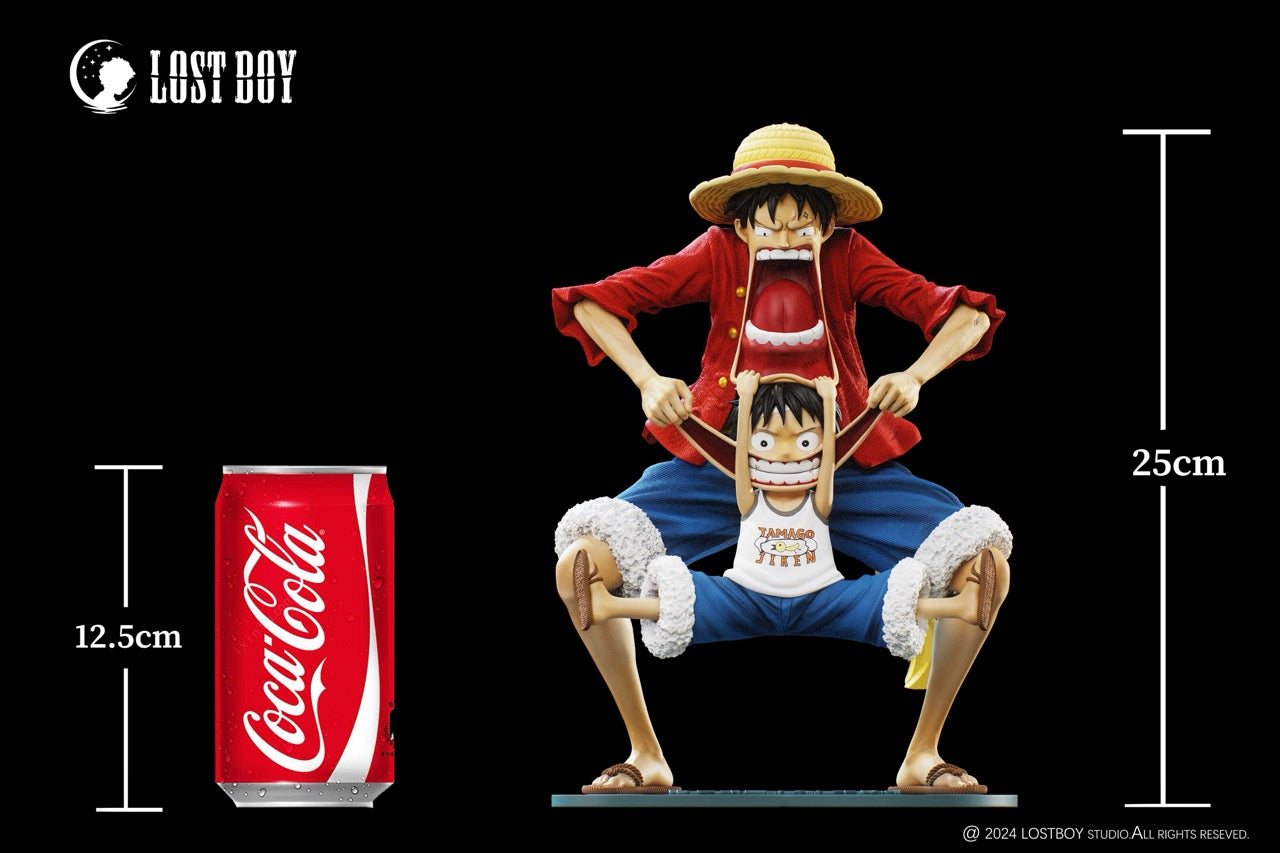 Lost Boy - Luffy