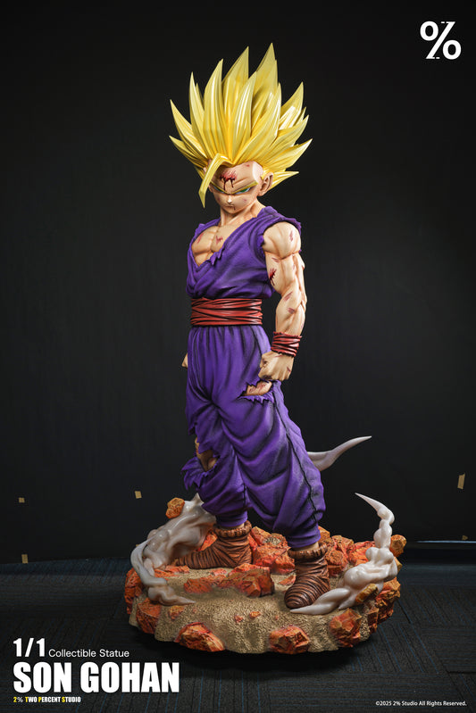 2% - SSJ2 Gohan