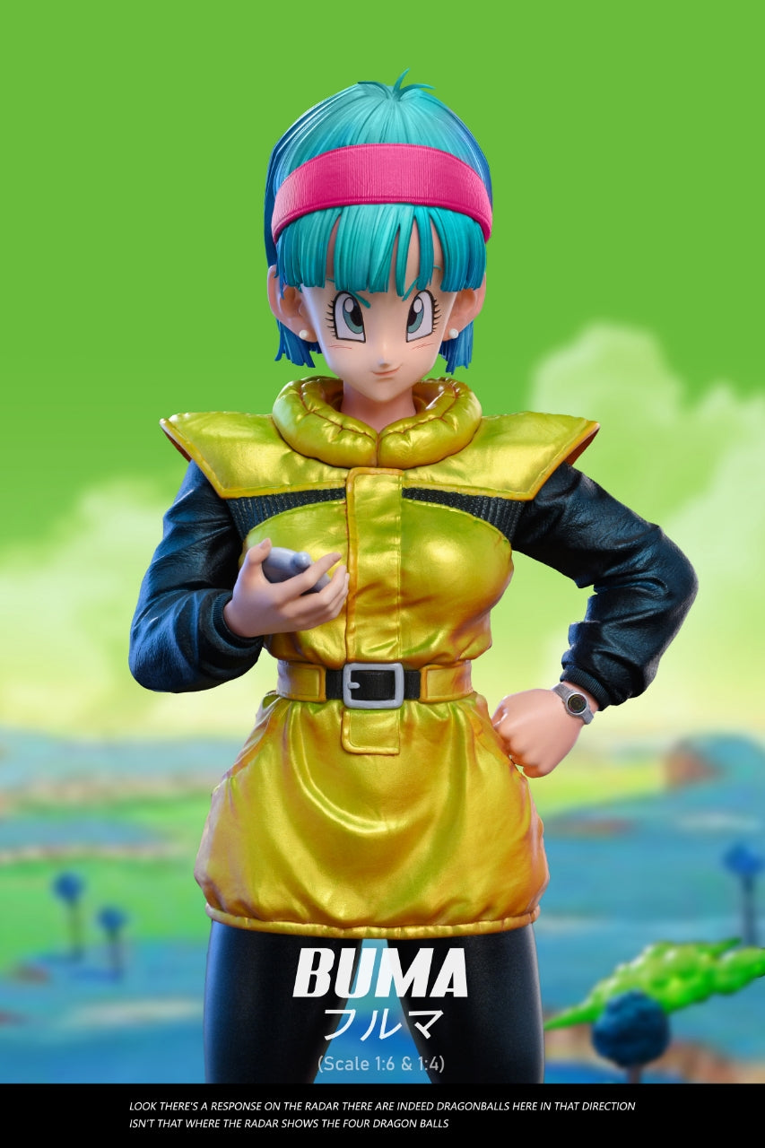 White Hole x Z - Bulma