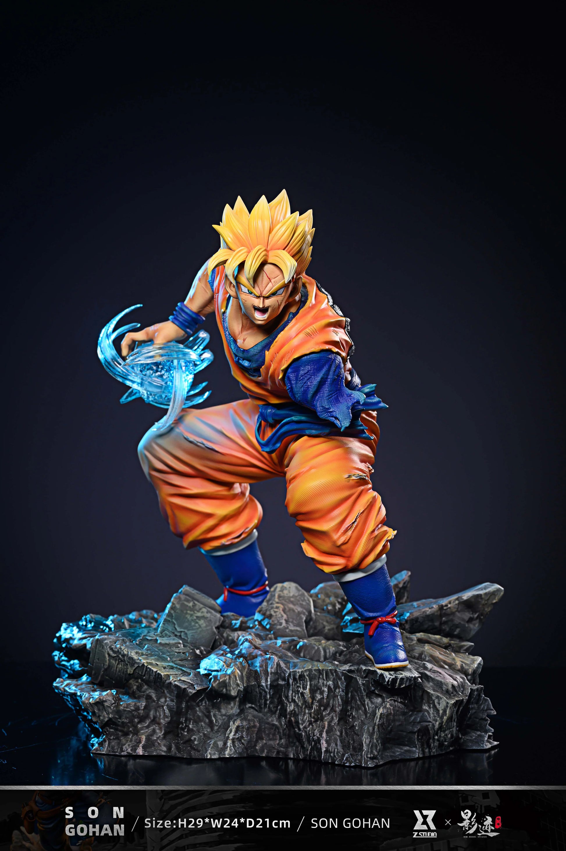 Dragonball z 2025 zx 5 rm