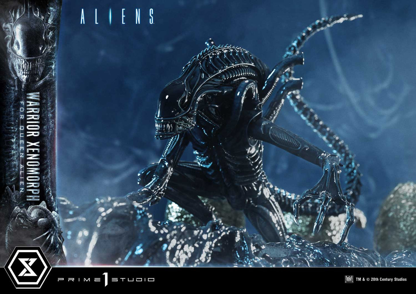 Prime 1 -  Warrior Xenomorph