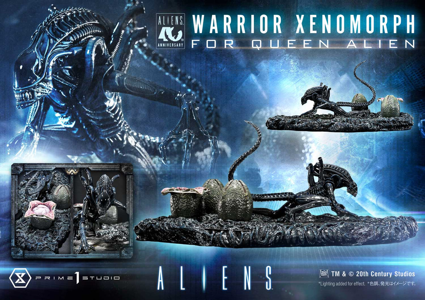 Prime 1 -  Warrior Xenomorph