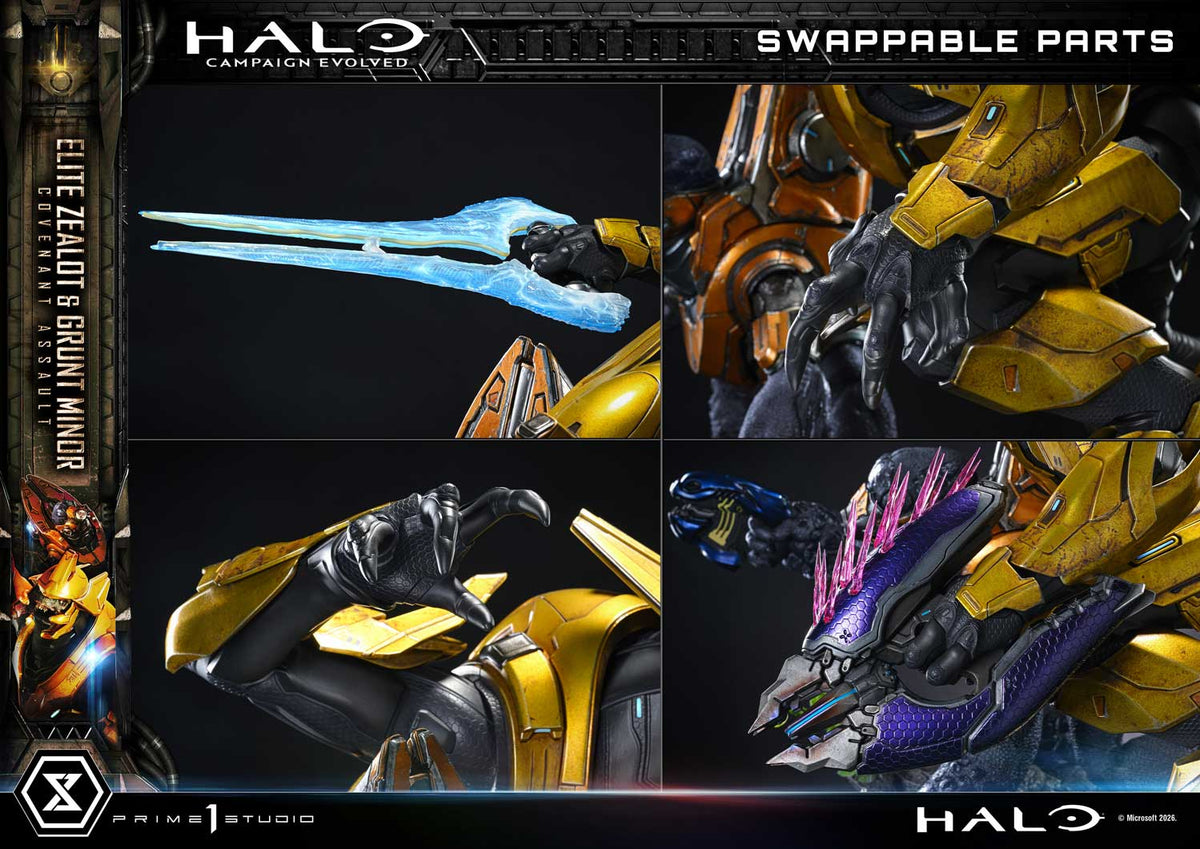 Prime 1 - Grunt Minor and Sangheili Zealot