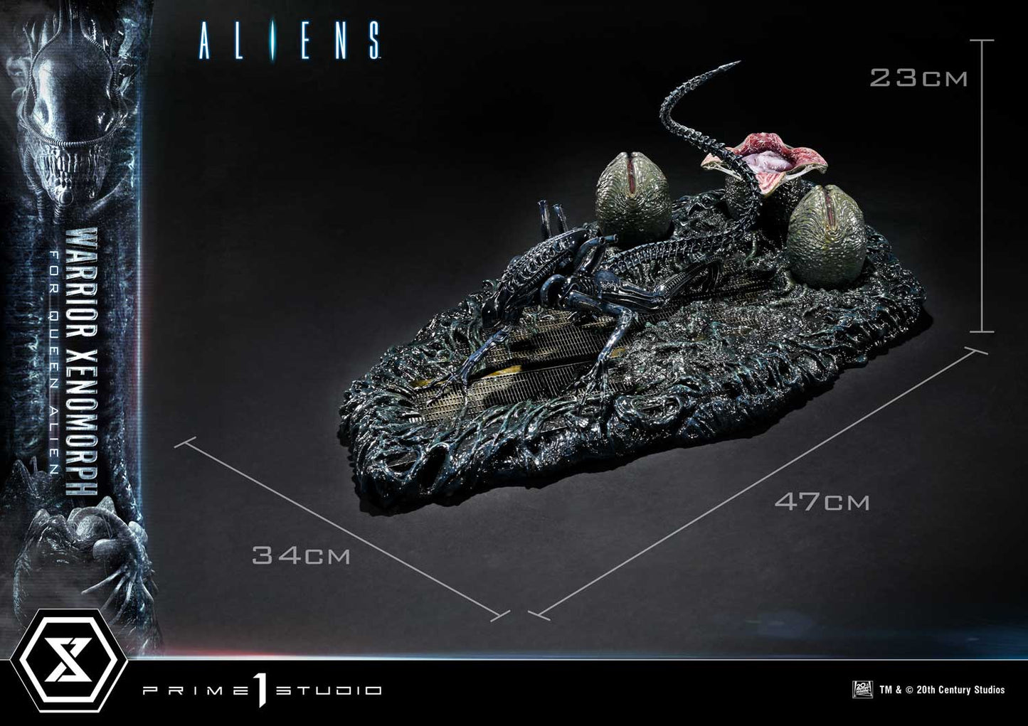 Prime 1 -  Warrior Xenomorph