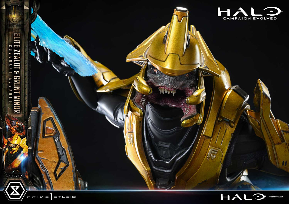 Prime 1 - Grunt Minor and Sangheili Zealot