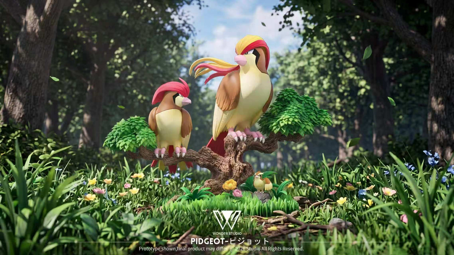 Wonder - Pidgeot
