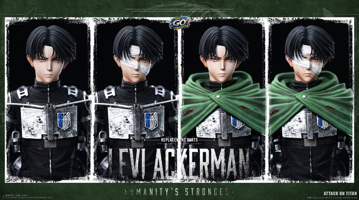 Go Figure - Levi