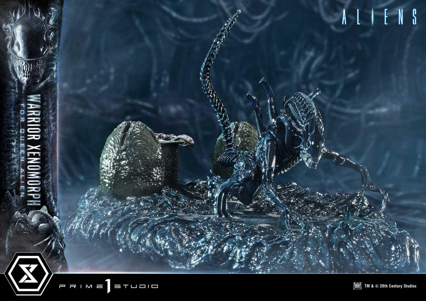 Prime 1 -  Warrior Xenomorph