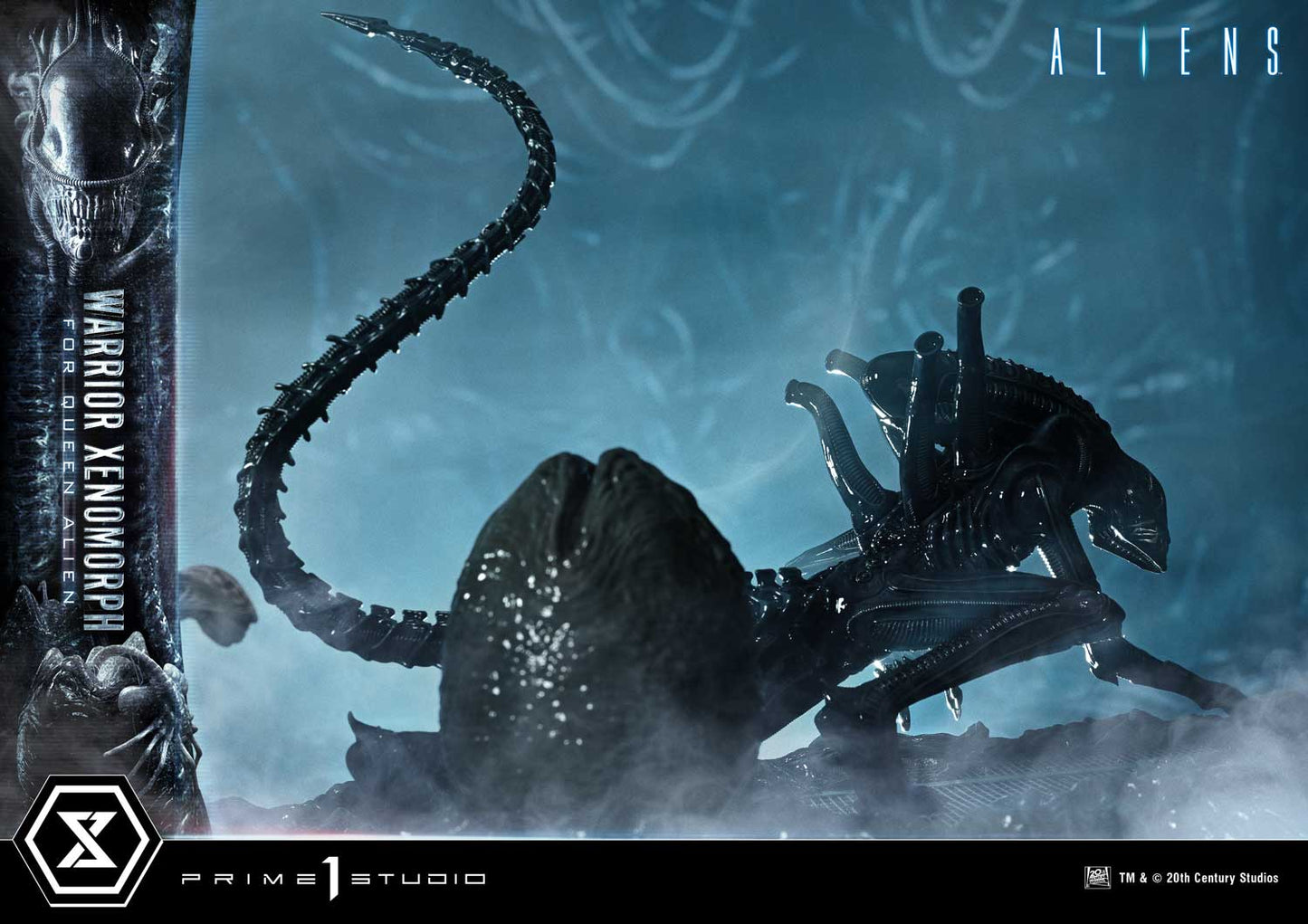 Prime 1 -  Warrior Xenomorph