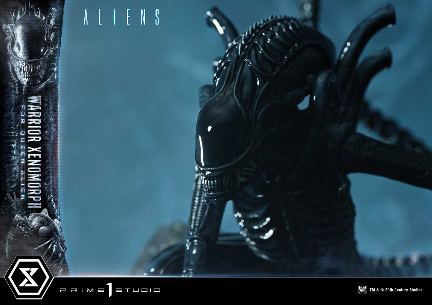 Prime 1 -  Warrior Xenomorph