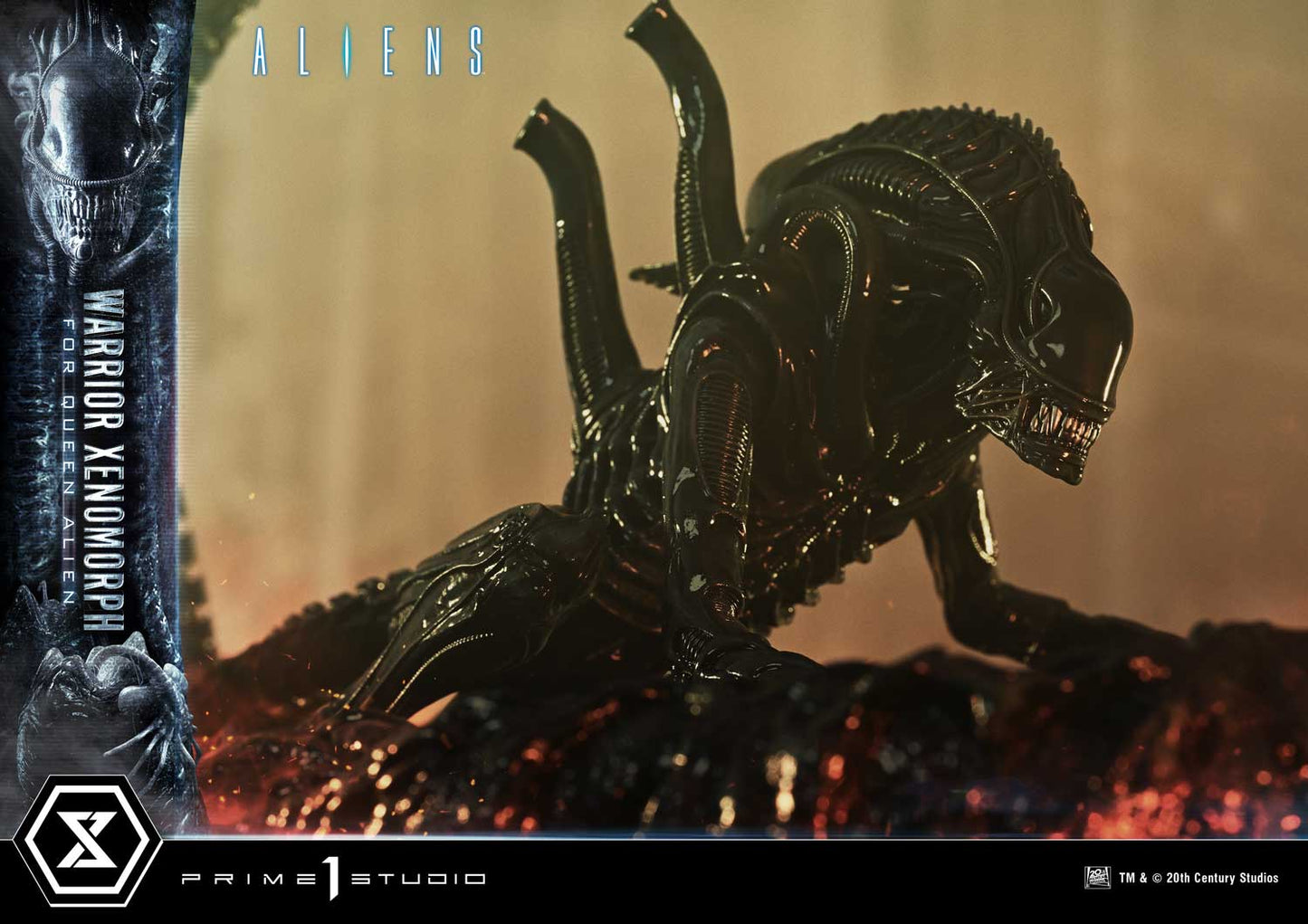 Prime 1 -  Warrior Xenomorph