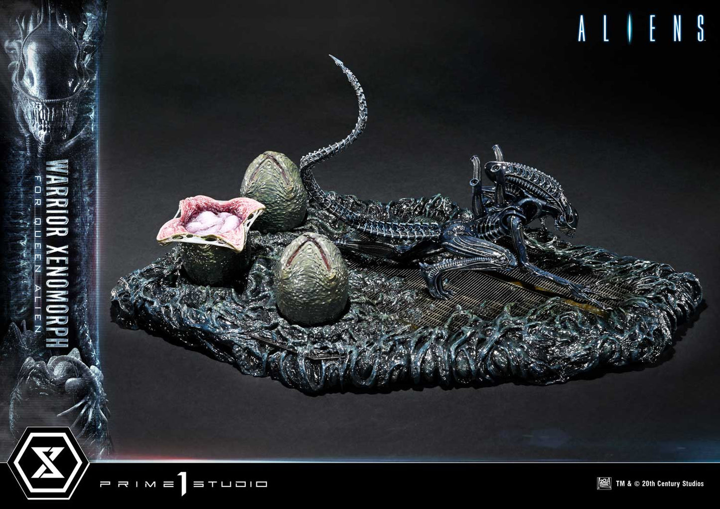 Prime 1 -  Warrior Xenomorph