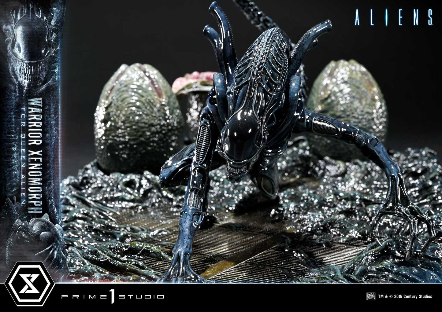 Prime 1 -  Warrior Xenomorph