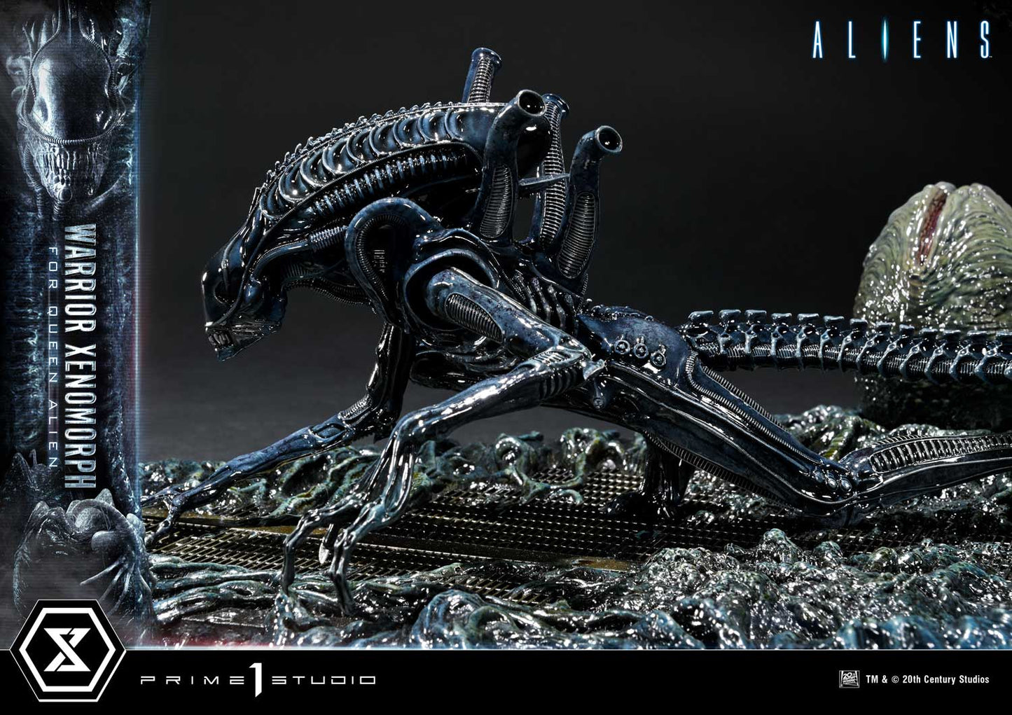 Prime 1 -  Warrior Xenomorph