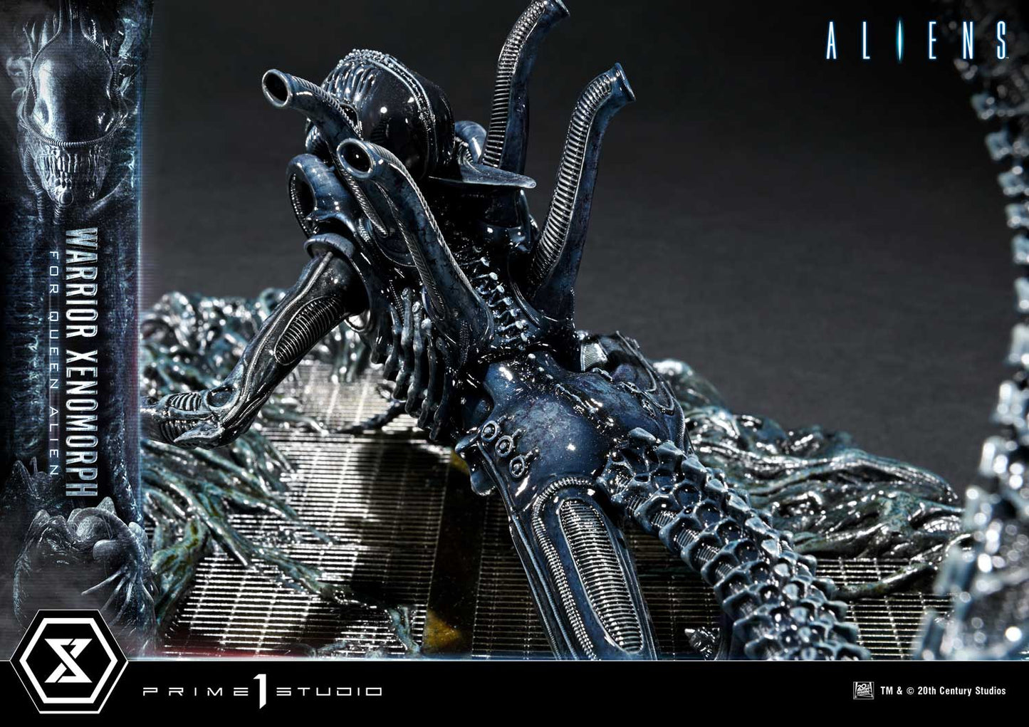 Prime 1 -  Warrior Xenomorph