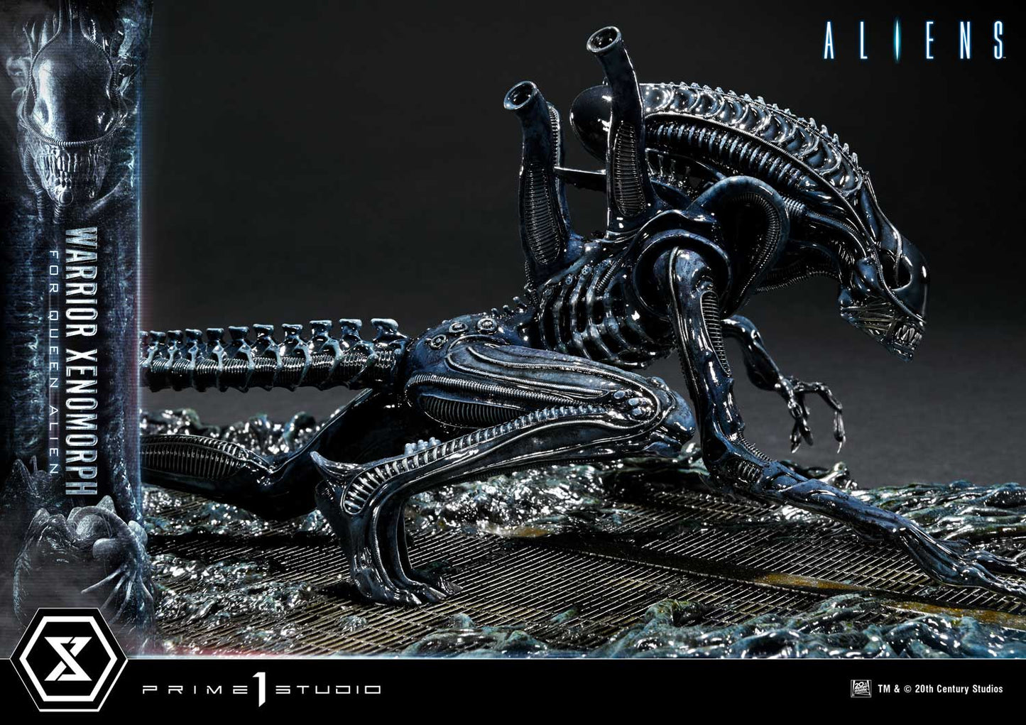 Prime 1 -  Warrior Xenomorph