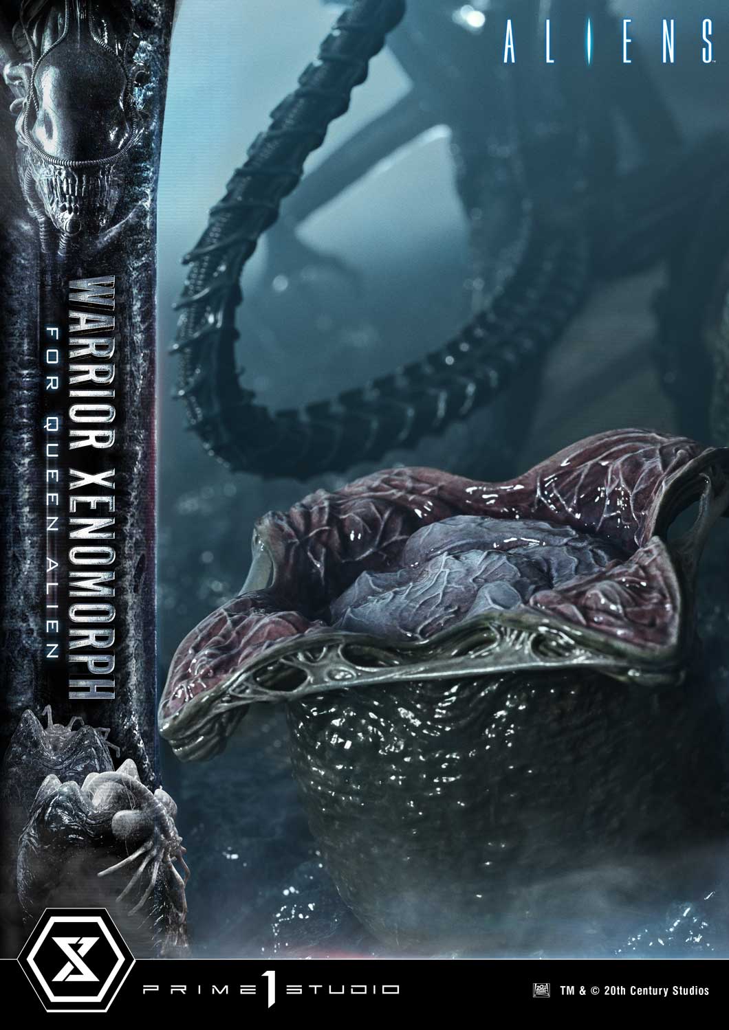 Prime 1 -  Warrior Xenomorph