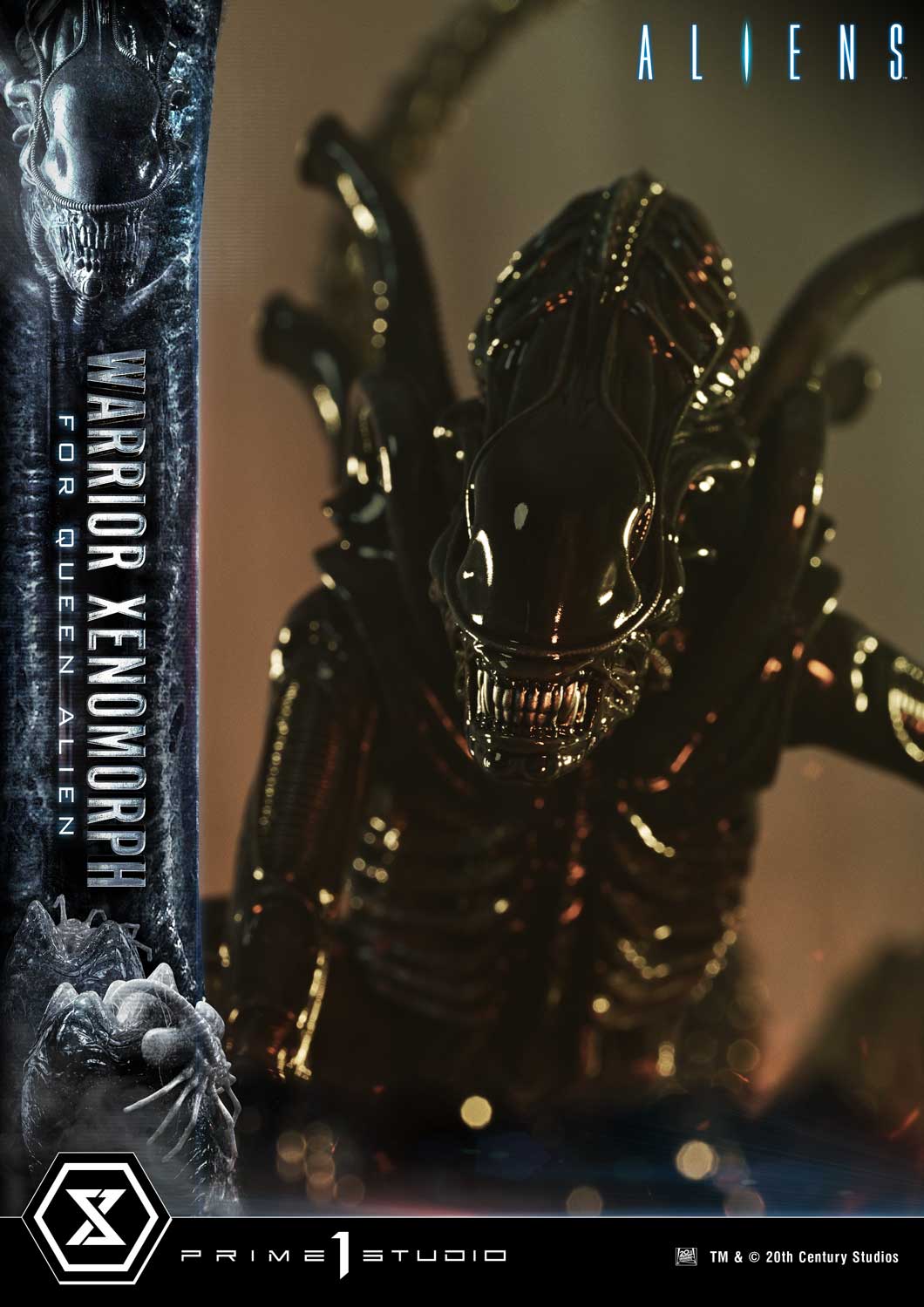 Prime 1 -  Warrior Xenomorph