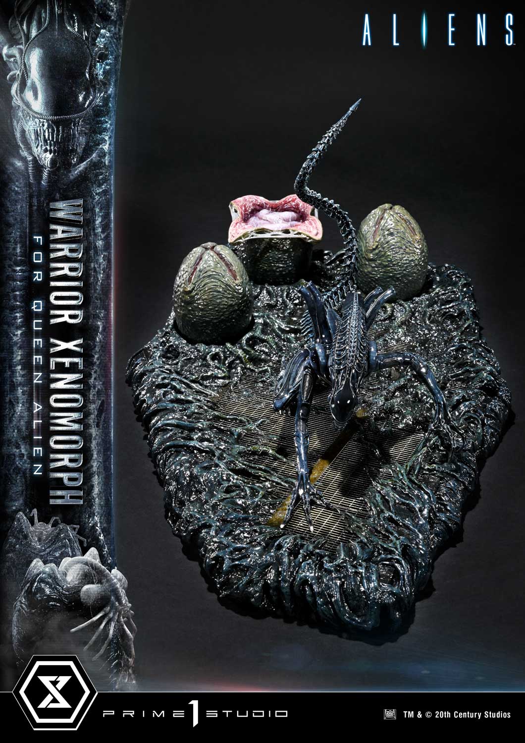 Prime 1 -  Warrior Xenomorph