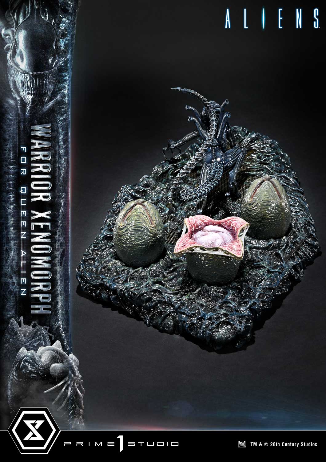 Prime 1 -  Warrior Xenomorph