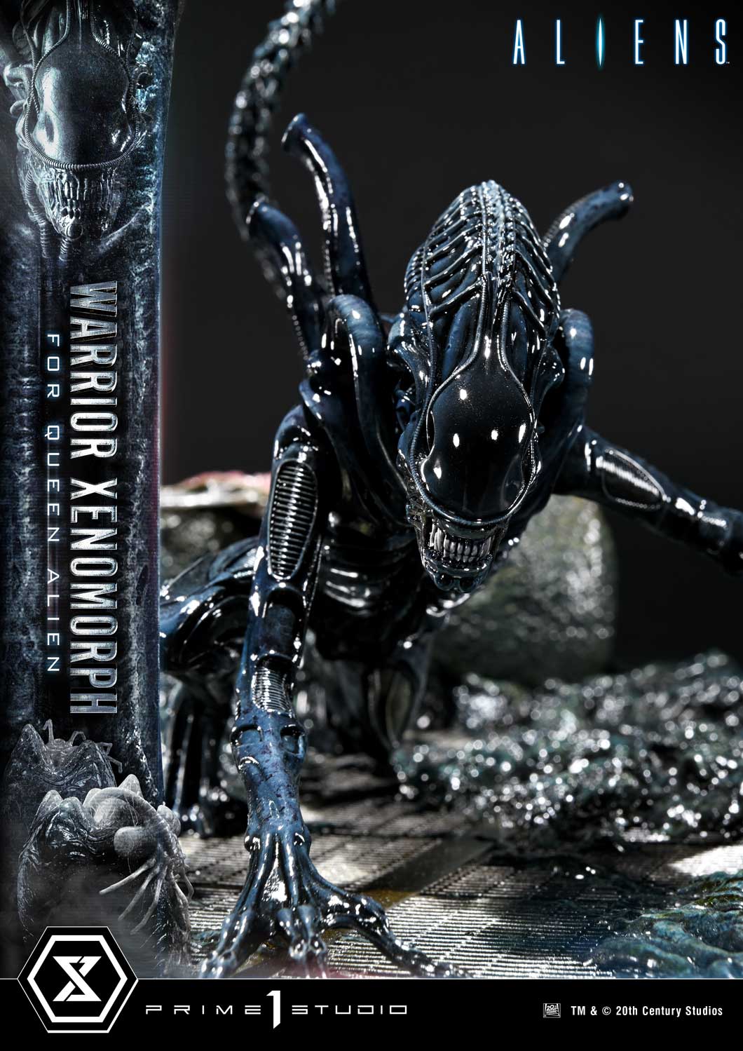 Prime 1 -  Warrior Xenomorph