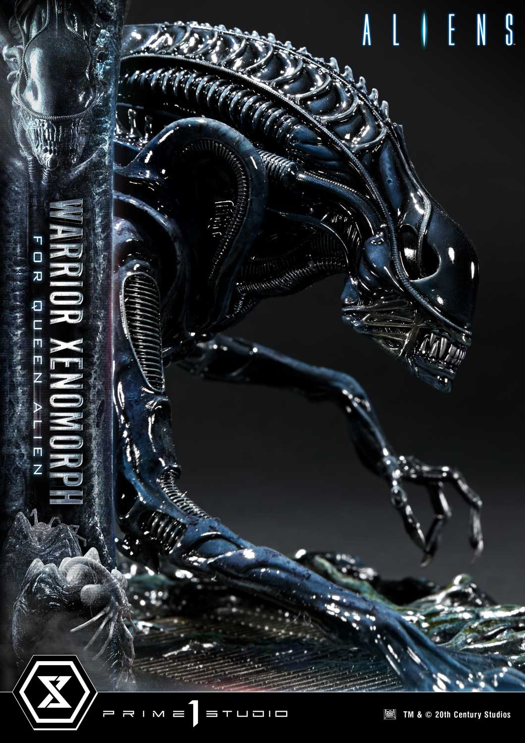 Prime 1 -  Warrior Xenomorph