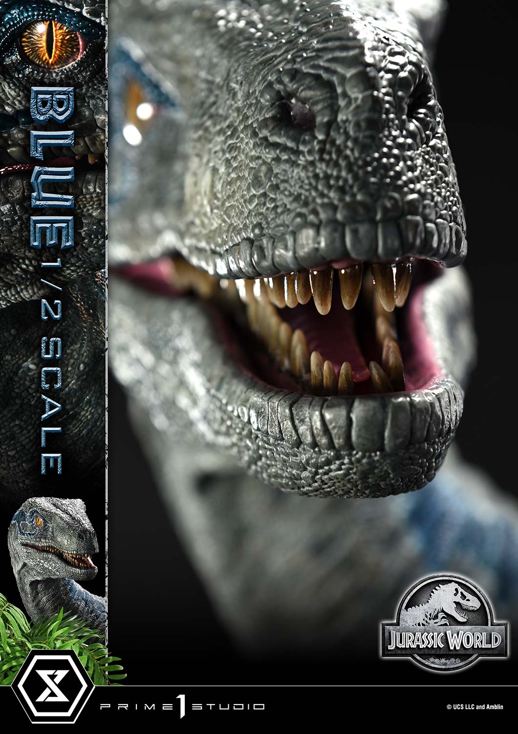 Prime 1 - Blue