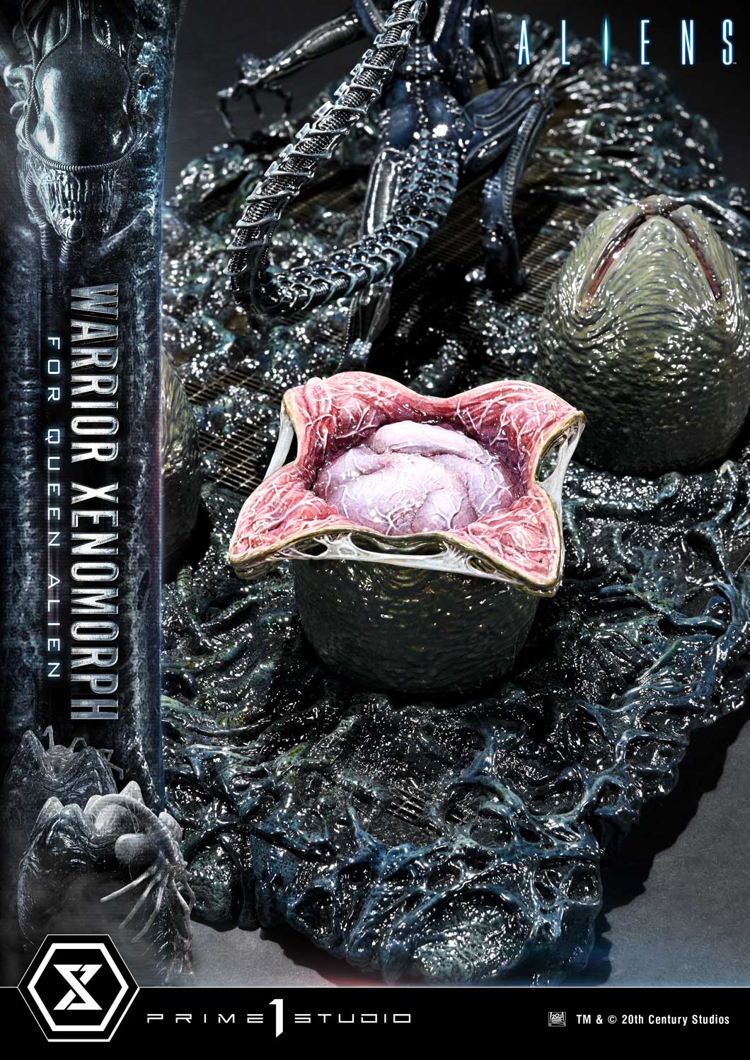 Prime 1 -  Warrior Xenomorph