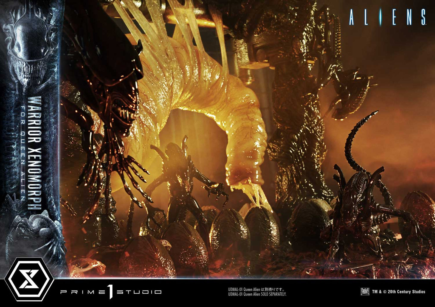 Prime 1 -  Warrior Xenomorph