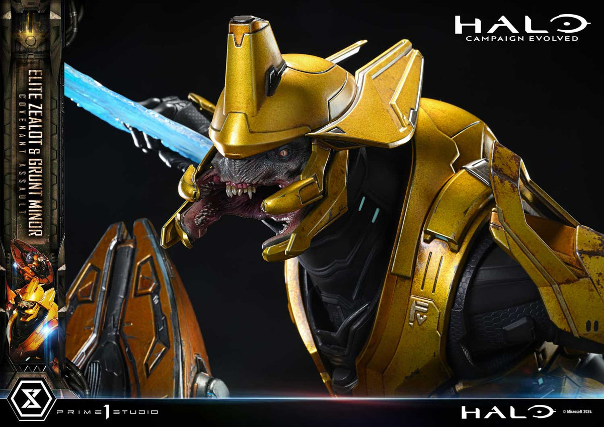 Prime 1 - Grunt Minor and Sangheili Zealot