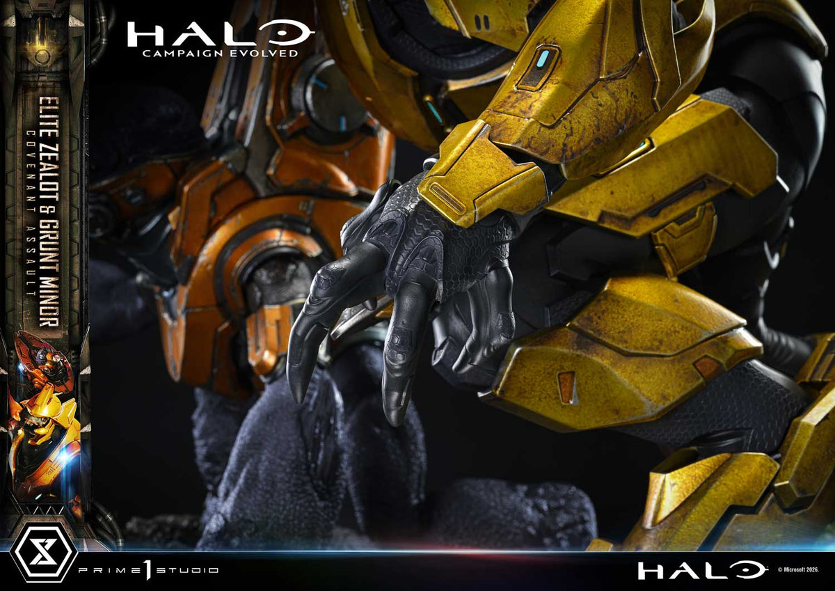 Prime 1 - Grunt Minor and Sangheili Zealot