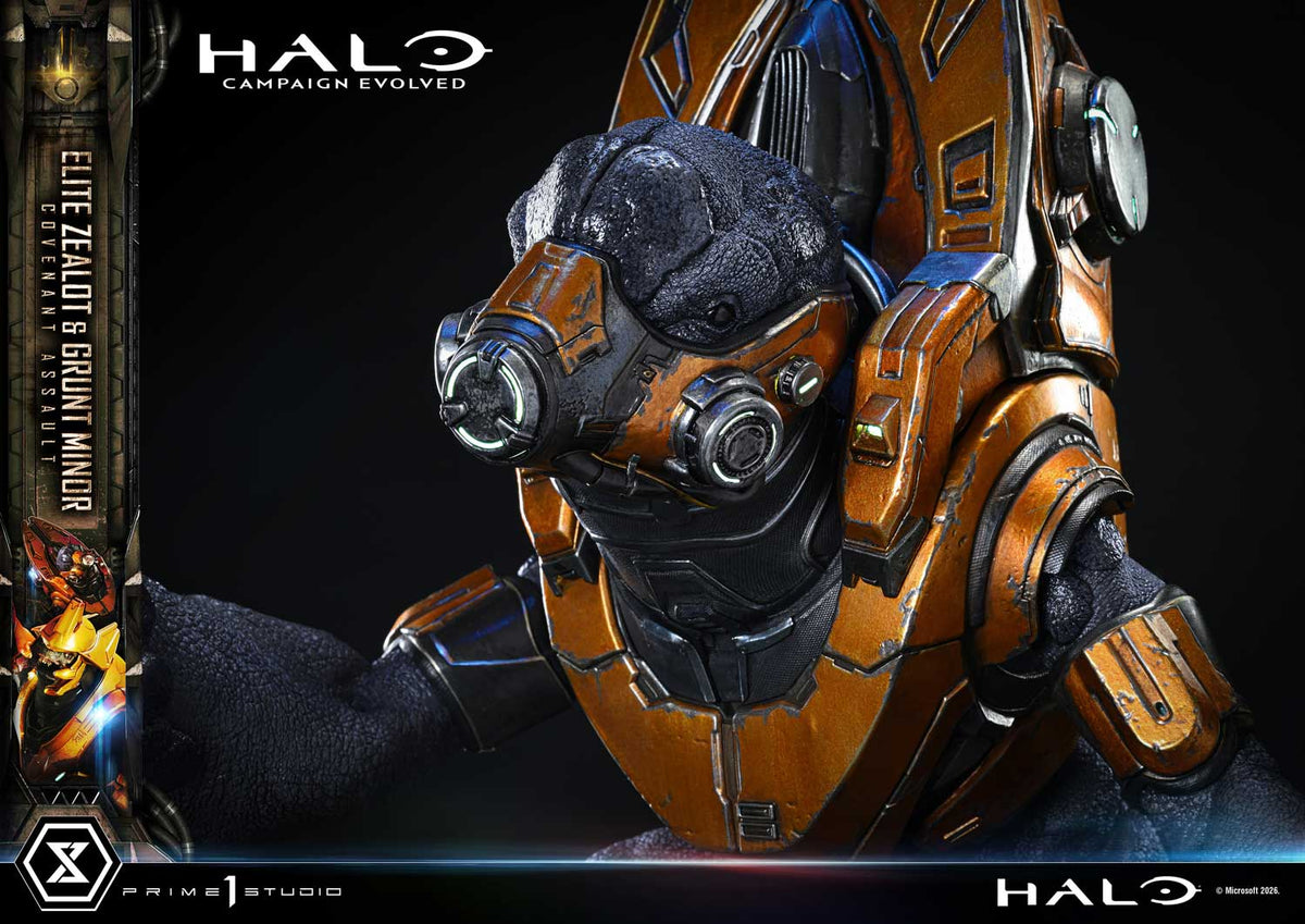 Prime 1 - Grunt Minor and Sangheili Zealot