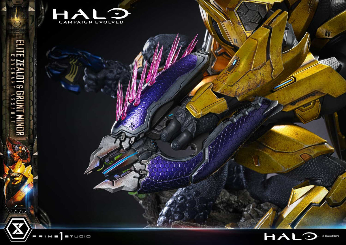 Prime 1 - Grunt Minor and Sangheili Zealot